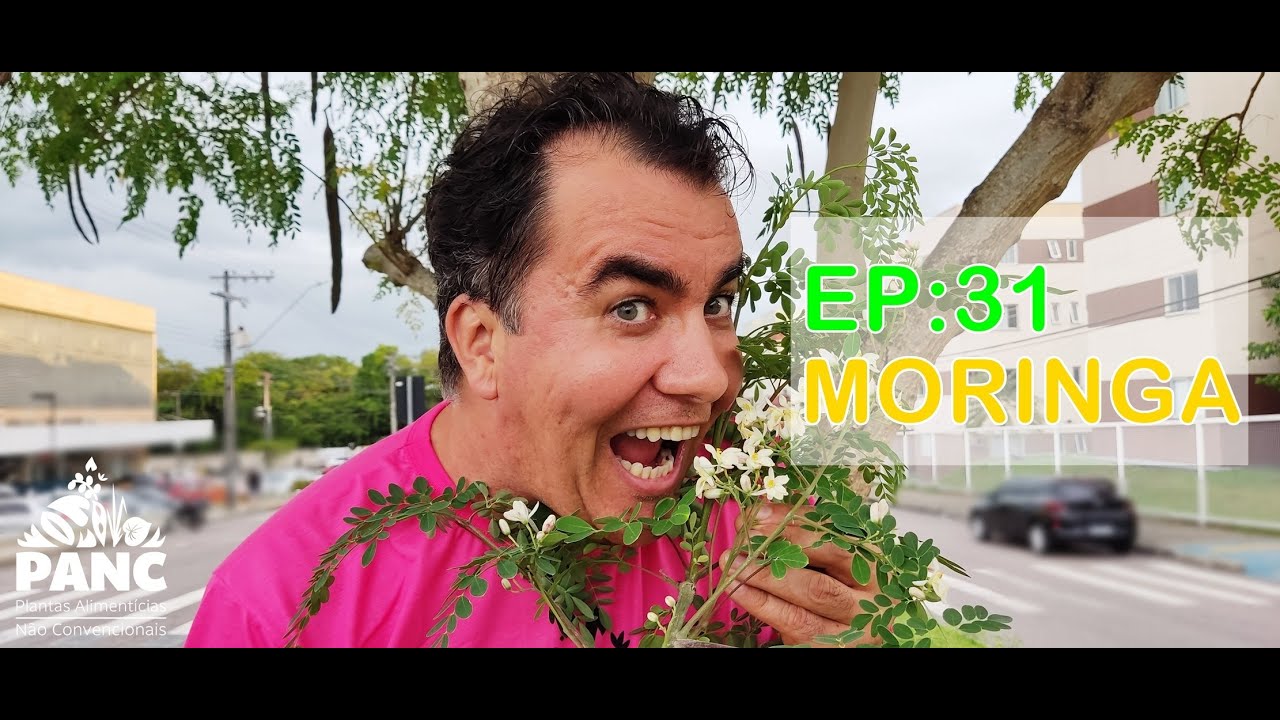 EPISÓDIO 31 - MORINGA | 
