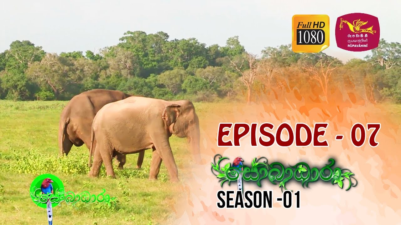 Sobadhara | Season - 01 | Episode 07 | Sobadhara Rupavahini