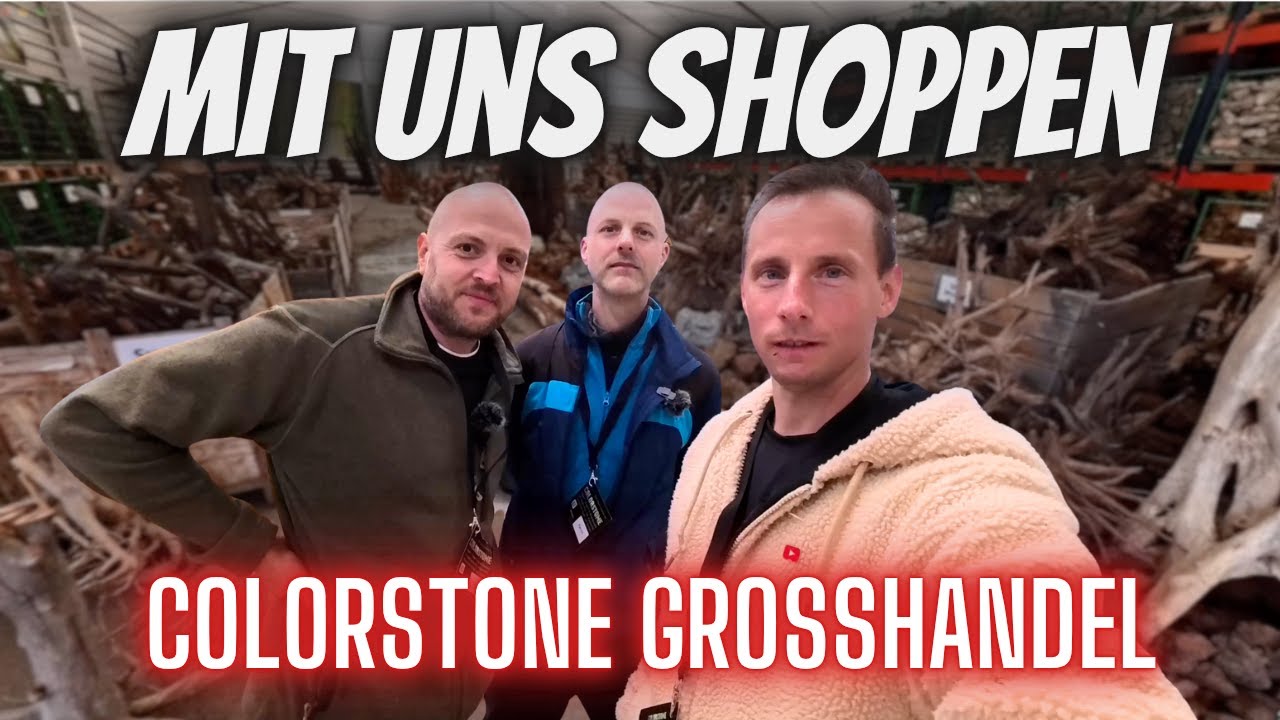 Ein Tag bei Colorstone: Zuschauer shoppen im Großhandel!