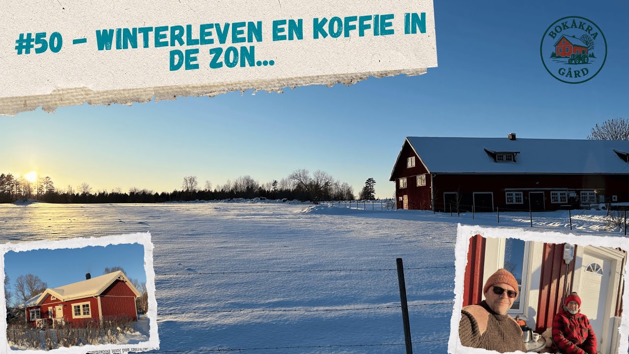 #50 - Winter op de Zweedse gård ❄️ | Zon, sneeuw & een glimp noorderlicht | Farmvlog