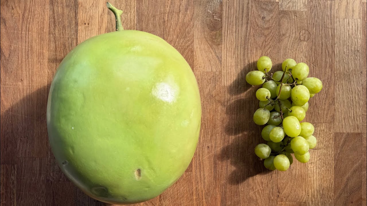 duże winogrono