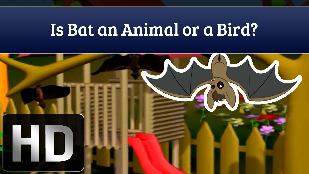 Is Bats an Animal or a Bird? | Tell Me Why