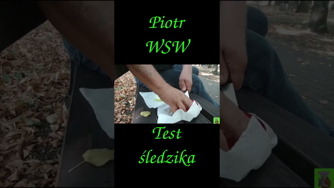 Piotr WSW test śledzika #kononowicz #śmieszne #szkolna17 #major #us17 #wsw