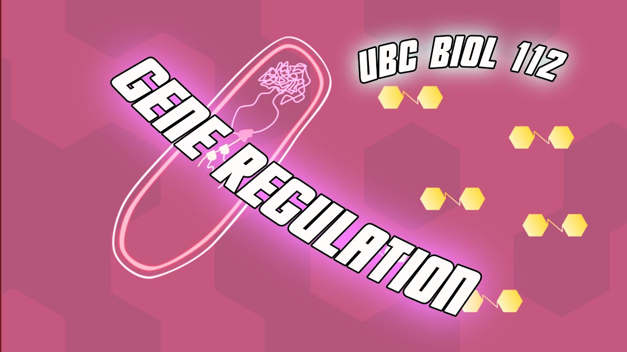 Регуляция генов - курс Biol 112 в UBC.