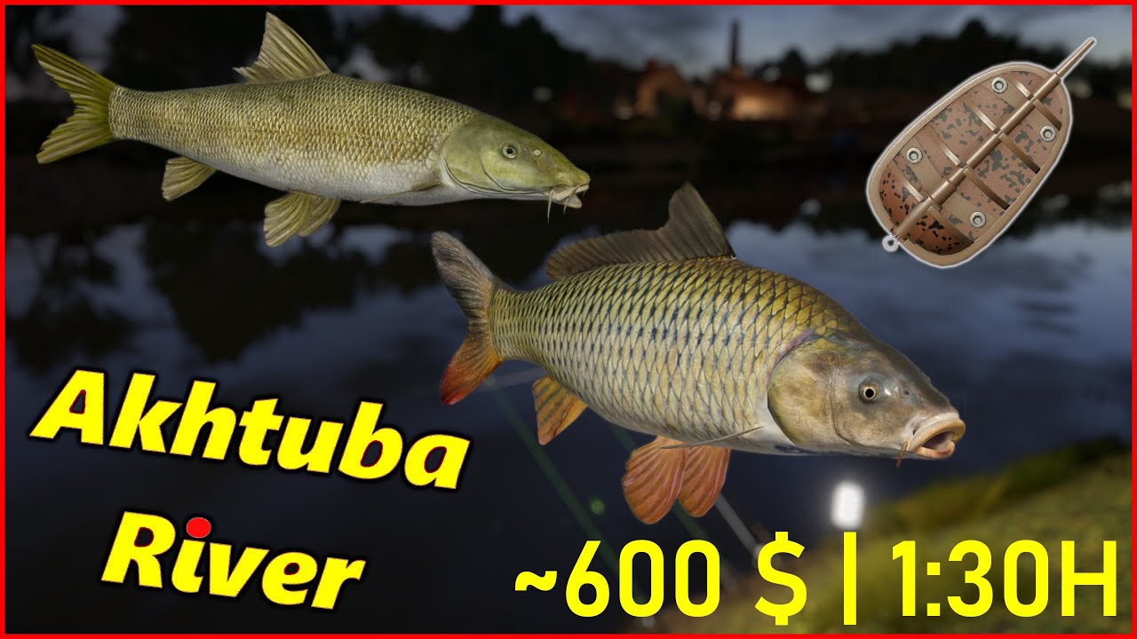 Russian Fishing 4 Aral Barbel & Wild Carp  Akhtuba River rf4 spot #55 #mjplay
