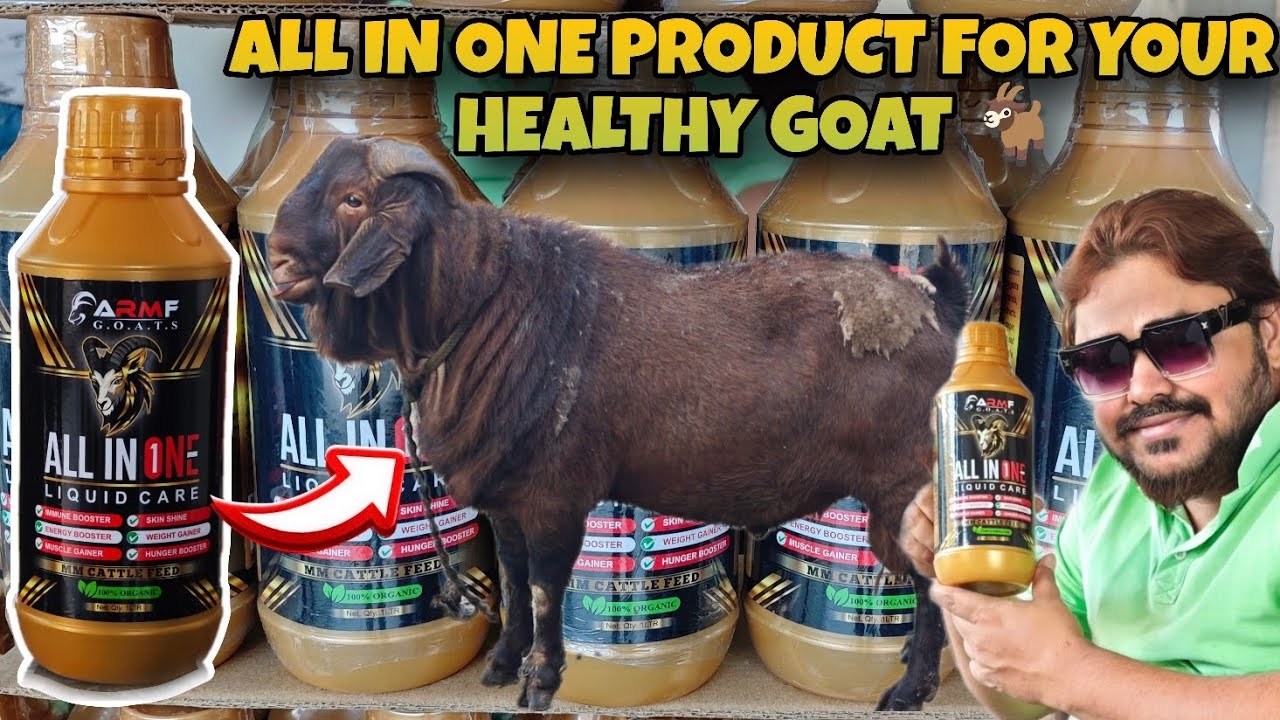 ALL IN ONE PRODUCT FOR YOUR HEALTHY GOATS ALL IN ONE LIQUID CARE BY MM CATTLE FEED ARM GOATFARM