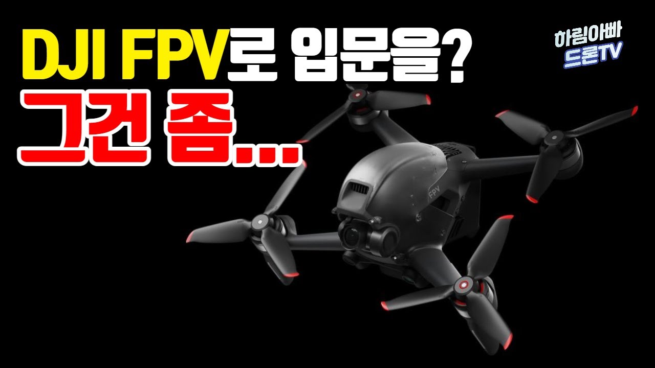 [드론 리뷰] DJI FPV로 FPV 입문을 말리는 가장 결정적인 이유