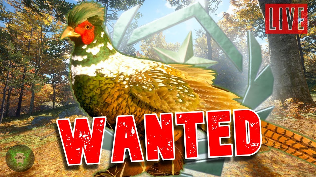 🔴LIVE! Pheasant Mania Monday!