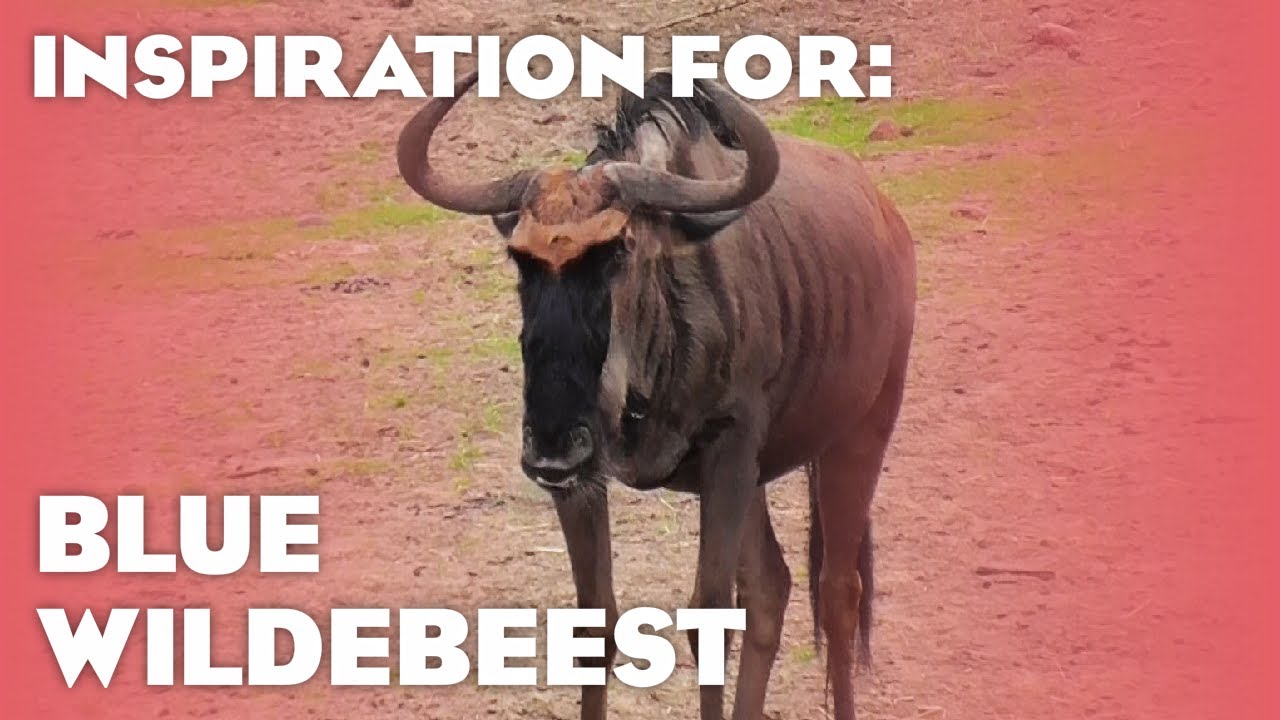 8 Real Blue Wildebeest Habitats! (Planet Zoo Inspiration)