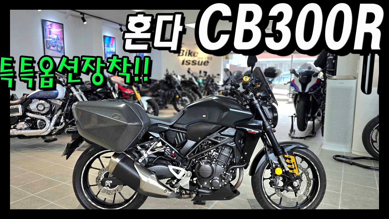 입문바이크 최고죠~~24년식 컨디션까지 완벽한 혼다 CB300R!