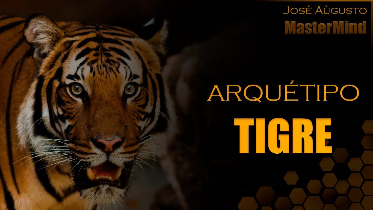 Arquétipo do TIGRE  Sons e imagens