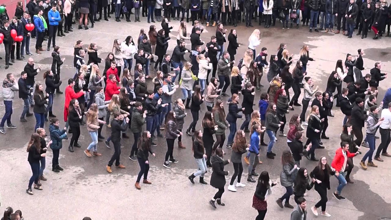 DG flashmobas 2015