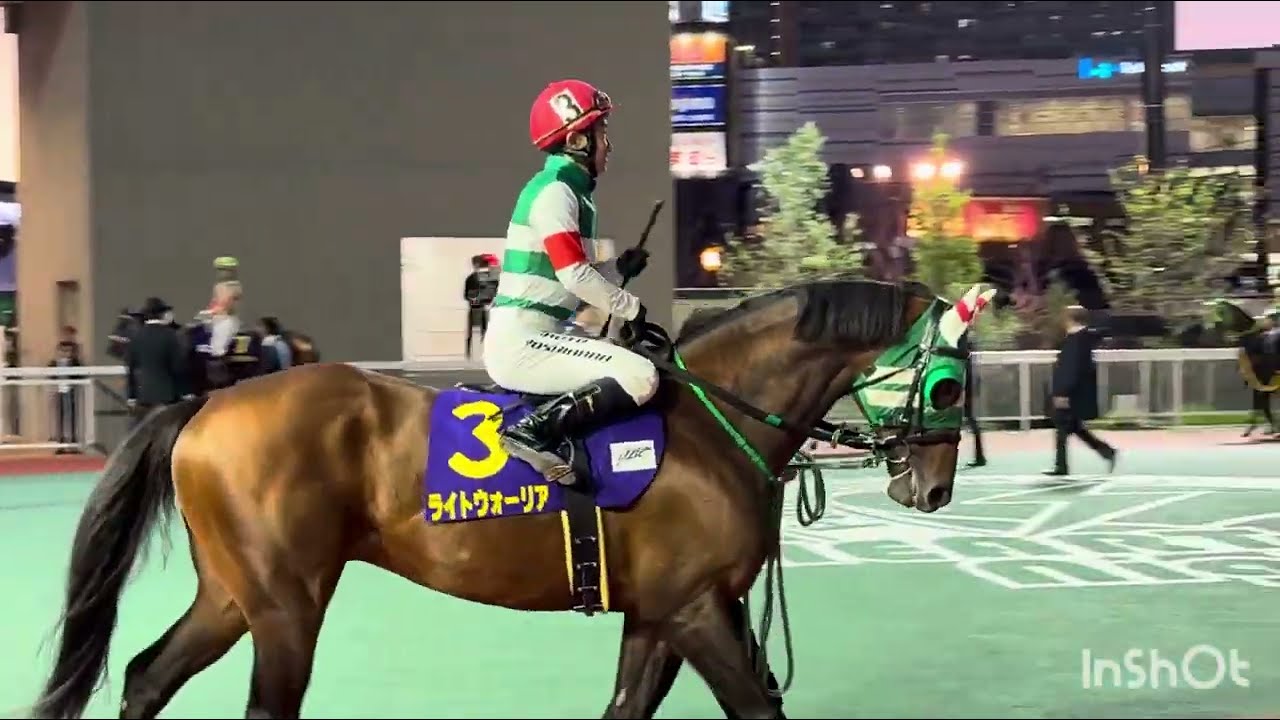 2025.11.3 ライトウォーリア 船橋11R ＪＢＣクラシック-ＪｐｎⅠ
