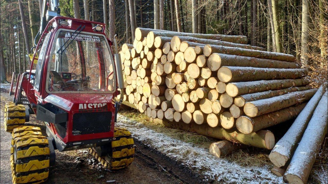 Starkholzfällung mit Alstor 840 Pro