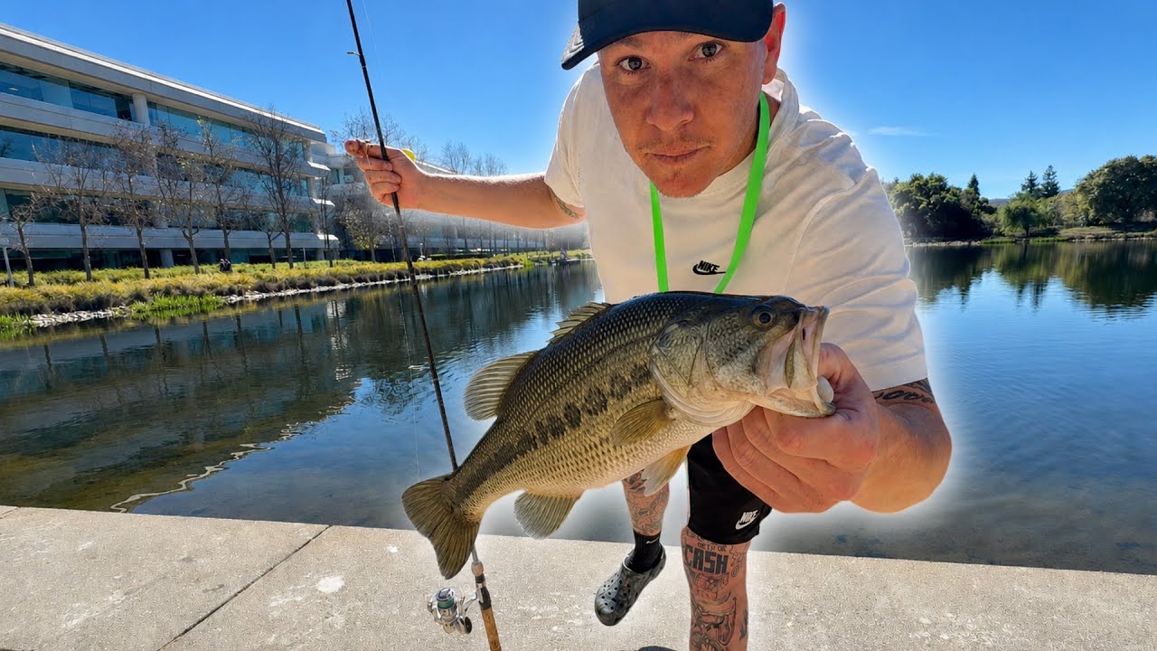 40 Largemouth Bass Caught in One Day – Bishop Ranch Fishing Challenge!