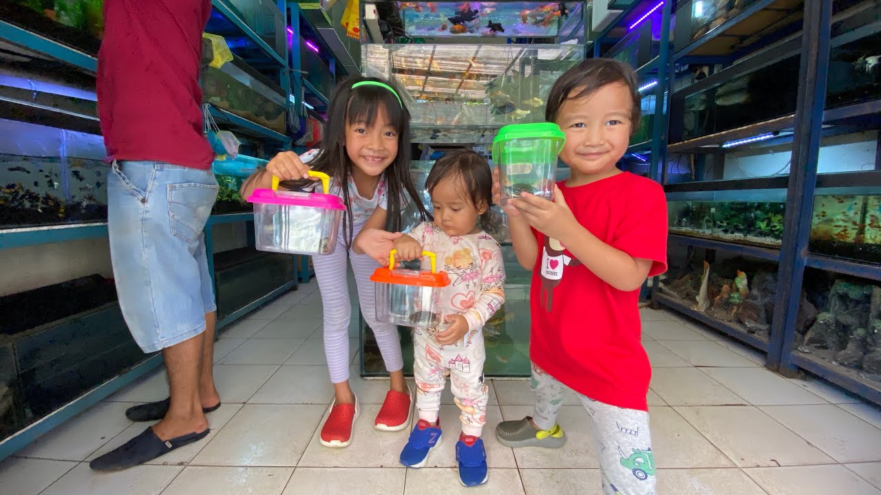 Zara Cute beli Kura Kura di Toko Aquarium | Hewan Peliharaan paling Kuat dan Tahan Banting