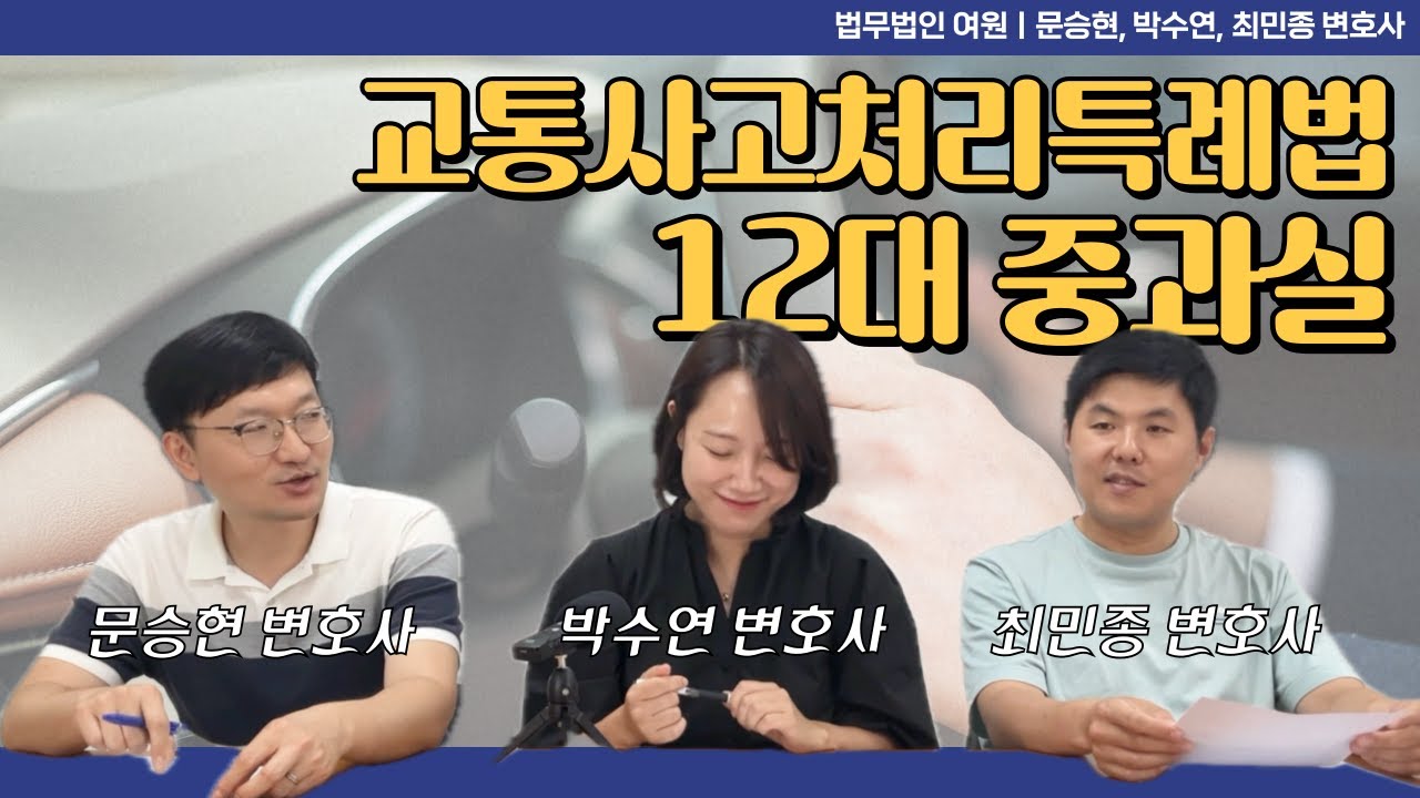 [쉽게 말해주는 법률] 교통사고특례법 12대 중과실이란?