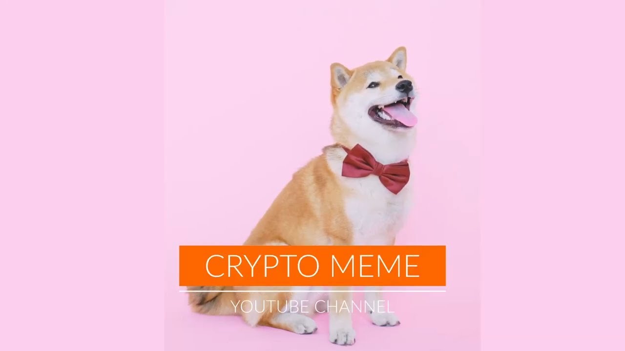 Funny Crypto Meme Video