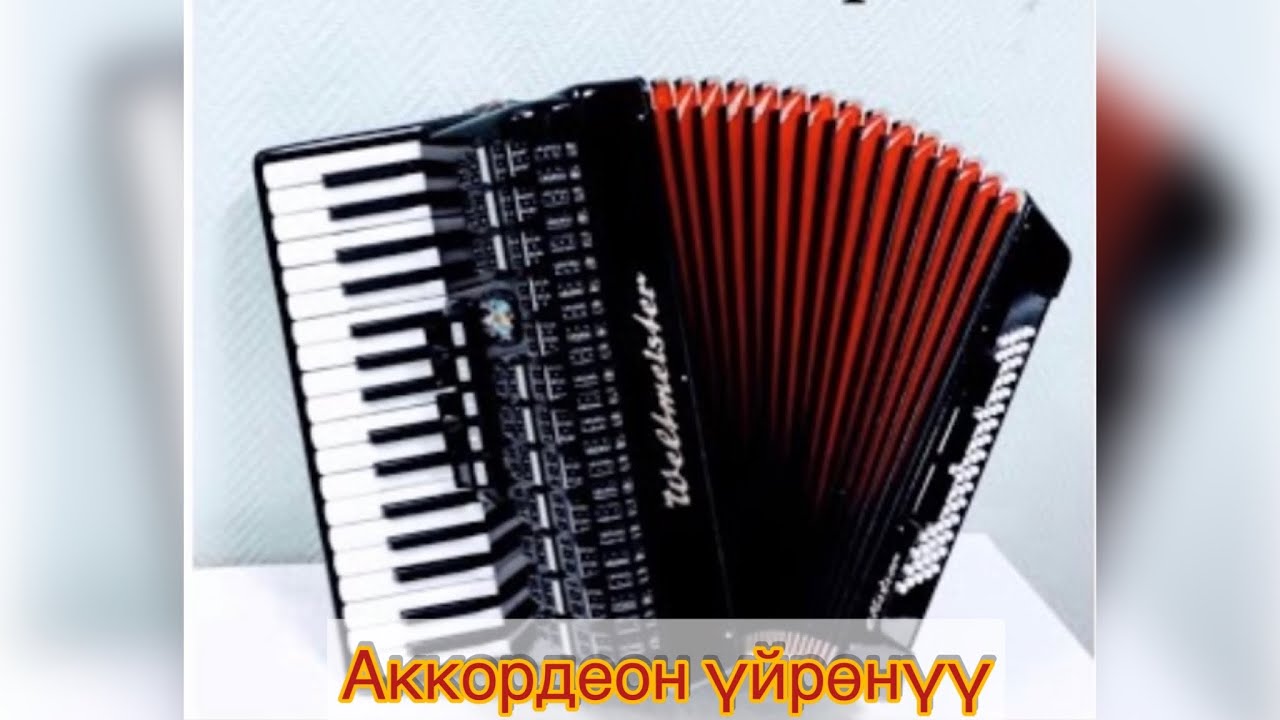 51. Аккордеон уйронуу/ Жоготпо биздин суйууну/ Омурго мен да бир келгем/ басс менен
