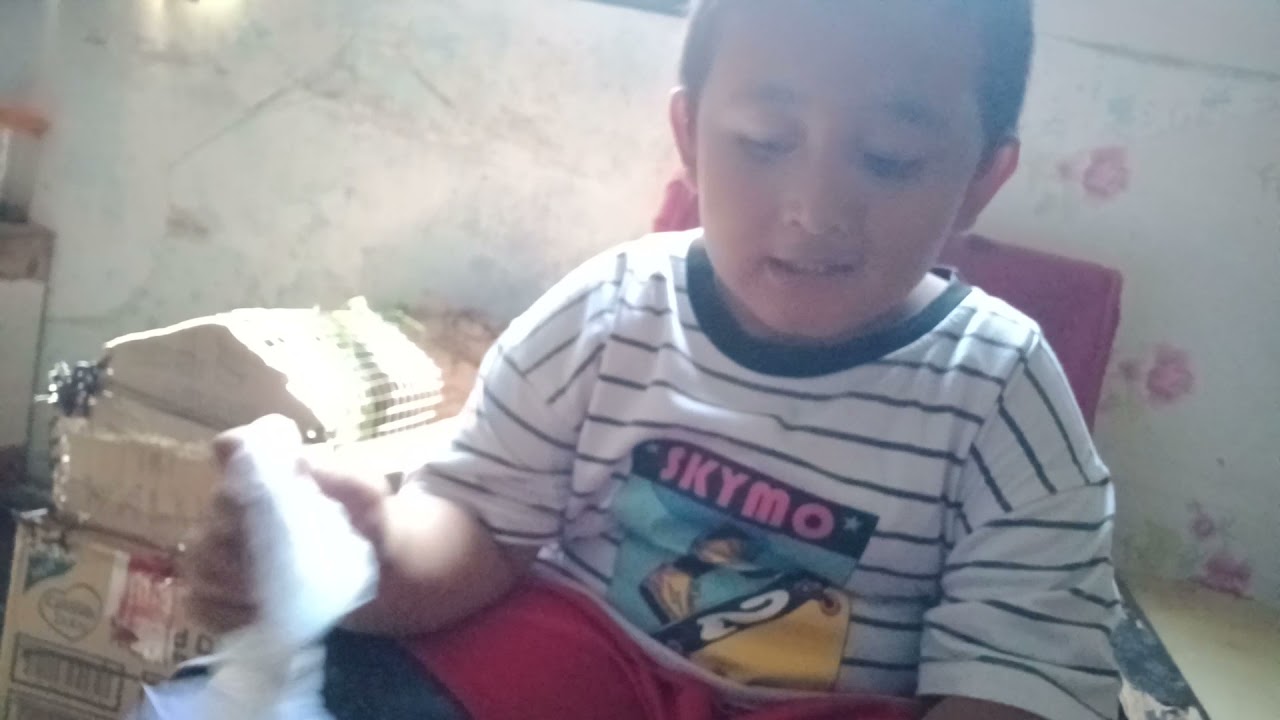 dundet punya belalang baru