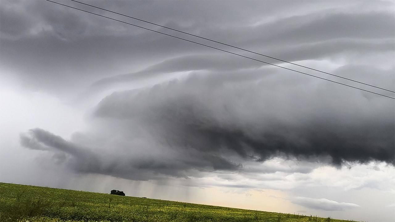 50mm em 40 Minutos! Duas Tempestades e uma Shelf Cloud Espetacular em Maringá/PR - 20/02/2026