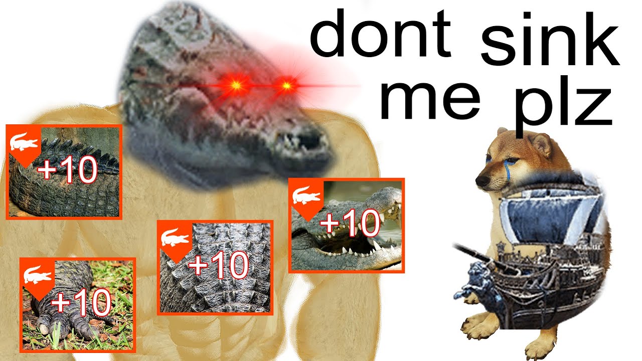 [BDO] Don't Mess With Crocs