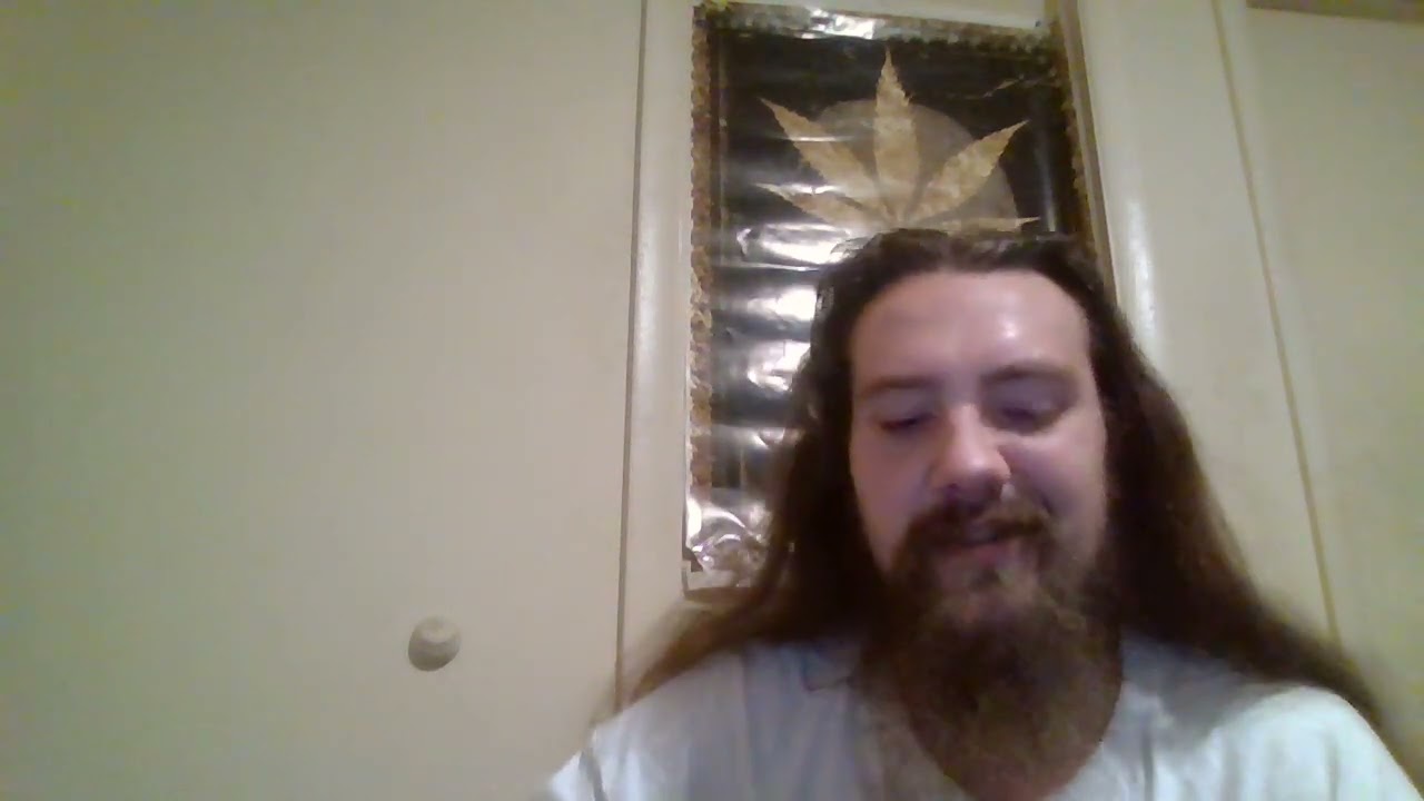 Trying hhc for the first time