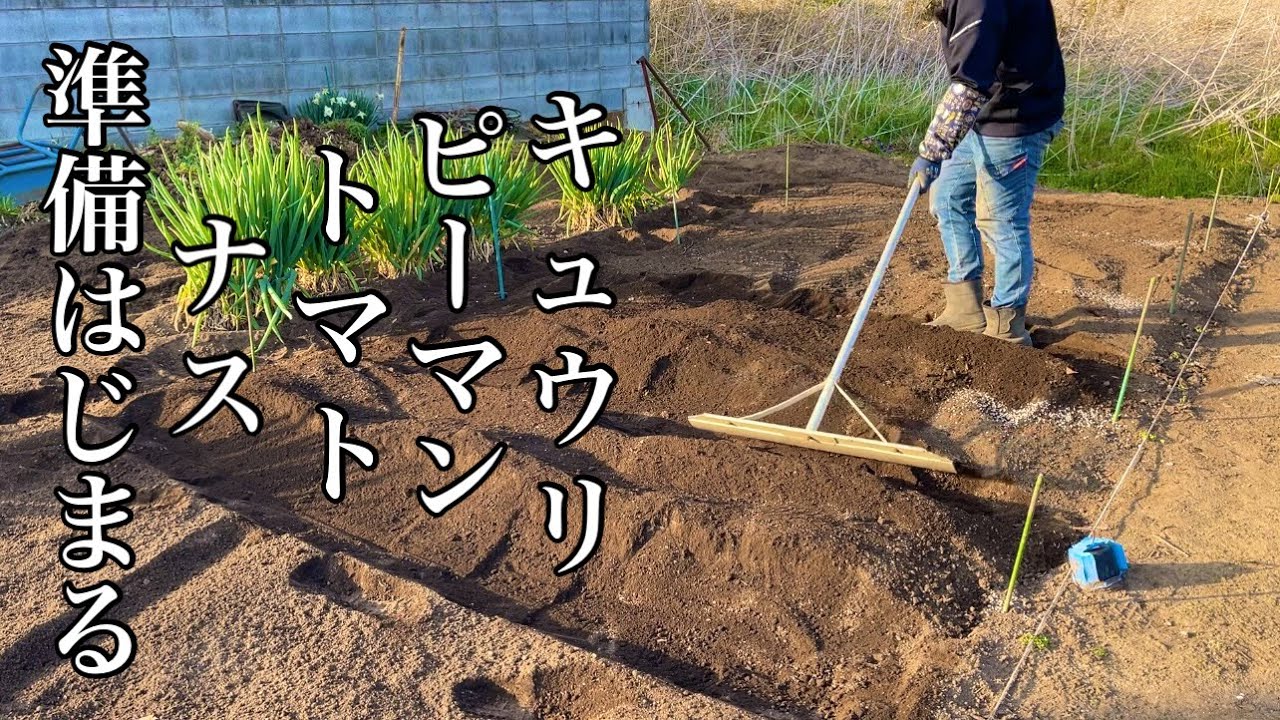夏野菜の畝に元肥を入れて畝作りの準備だ！日本家庭菜園初心者代表　22/4/10