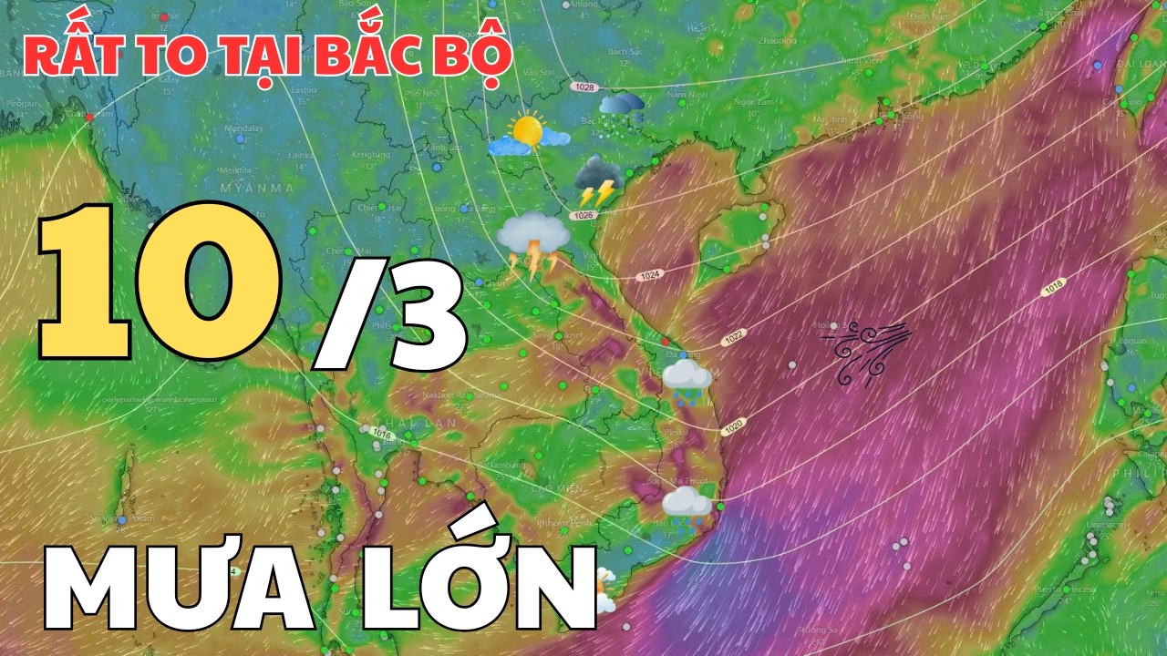 Dự báo thời tiết hôm nay và ngày mai 10/3/2026 | Dự báo thời tiết trong 3 ngày tới