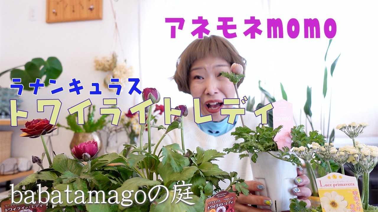 babatamagoの庭/【懺悔】魅力に取りつかれて爆走してます
