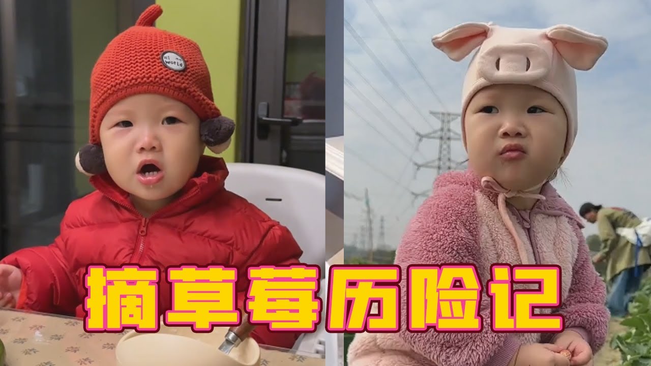一岁宝宝的摘草莓历险记，草莓地里伤心不已，到底经历了什么？【露兮粑粑】