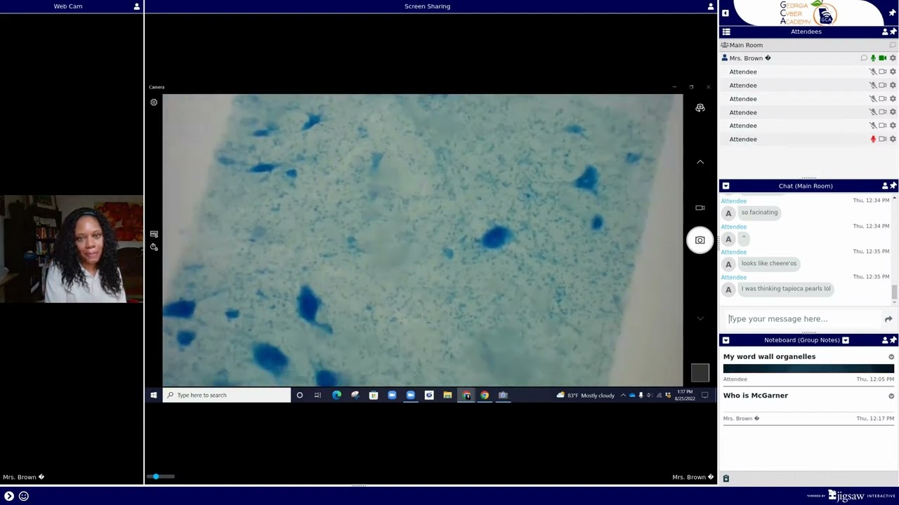 Microscope Fun: Honors Bio 8.25.22