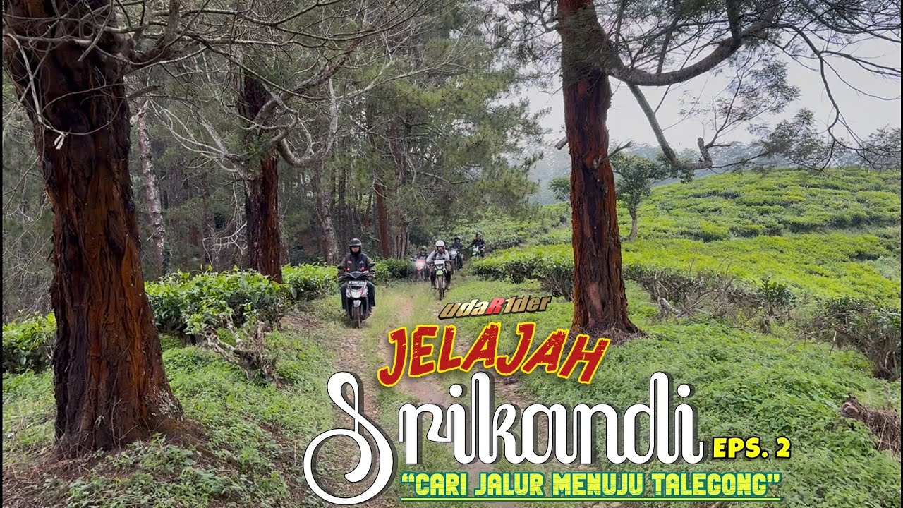 Mencari Jalur Menuju Talegong, Santai di TIRTA CAMELIA Surga Air Panas di Tengah Kebun Teh Junghuhn 