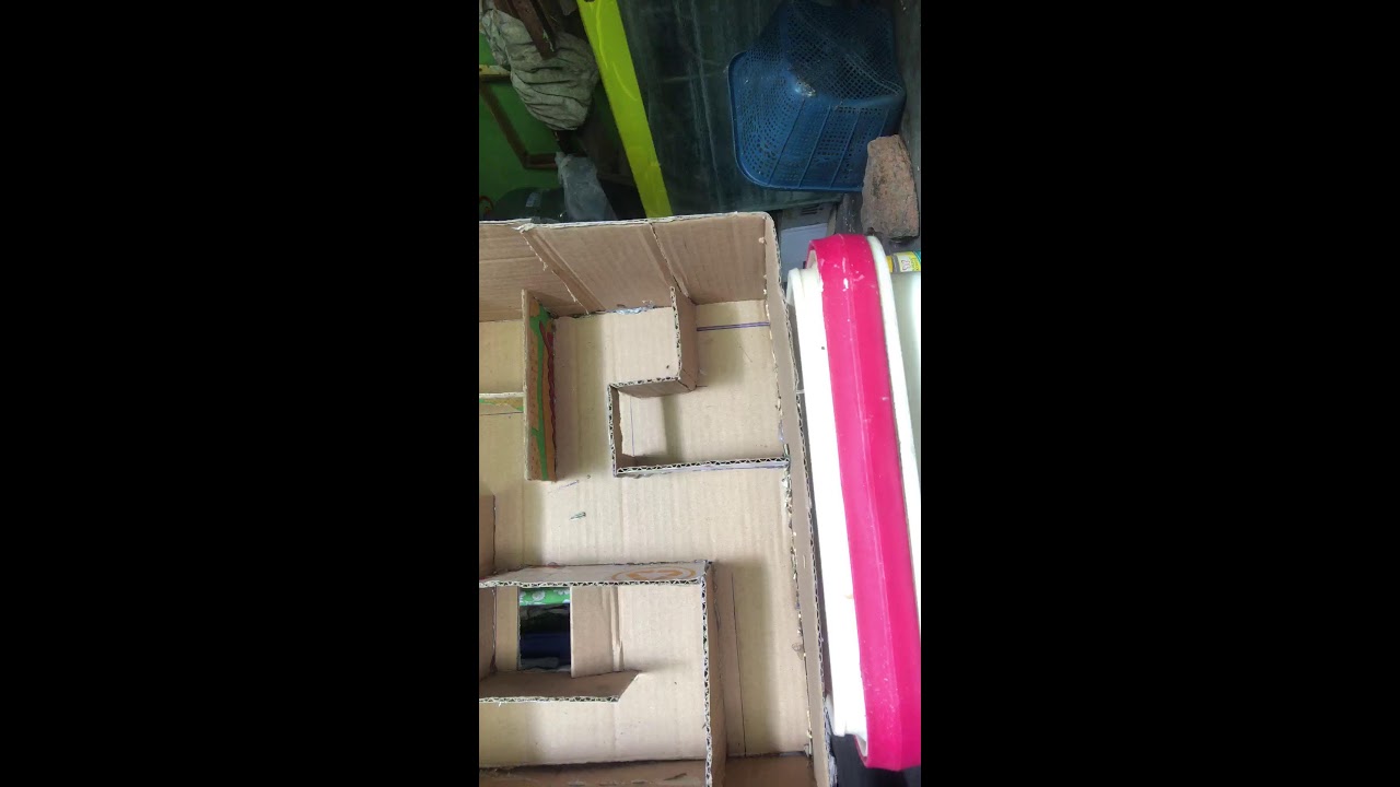 Hamster N Mazee Live stream