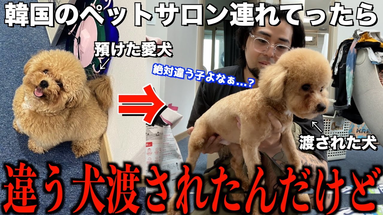 【注意喚起】待って、全然違う子渡されたんだけど誰？？？？