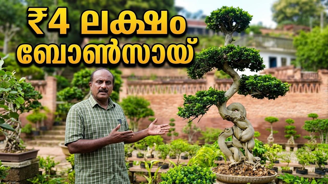 Kuzhipallam Botanical Garden#thiruvananthapuram#exotic fruit plants