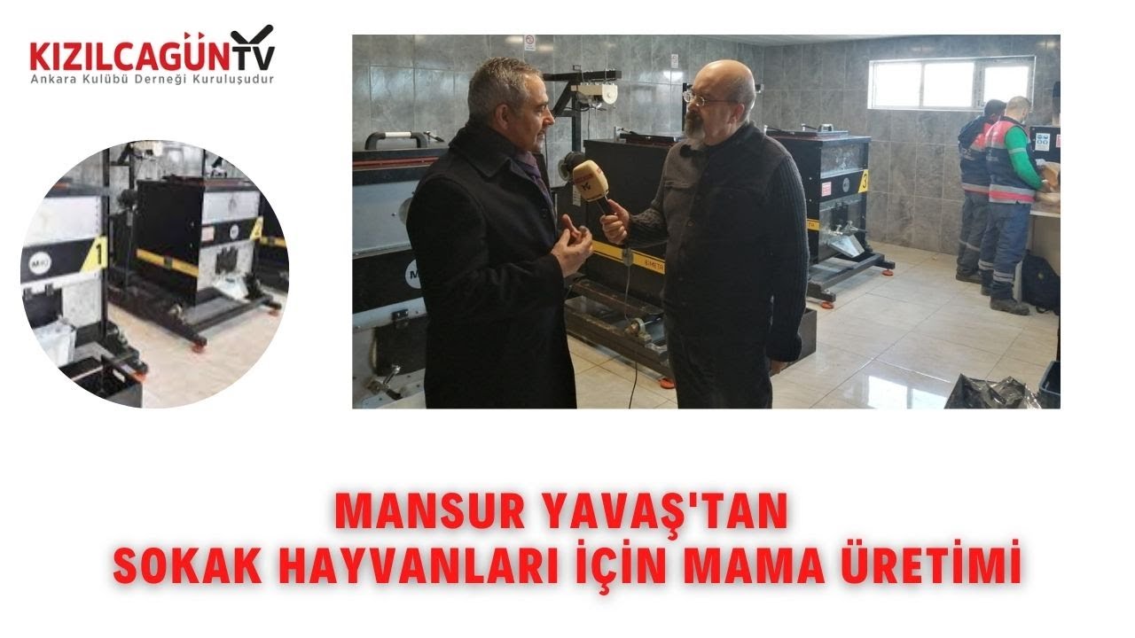 Mansur Yavaş'tan Sokak Hayvanları İçin Mama Üretimi