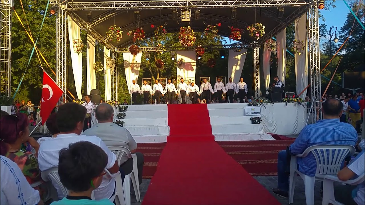 DİCLE ÜNİVERSİTESİ ROMANYA BISTRITA 2017 