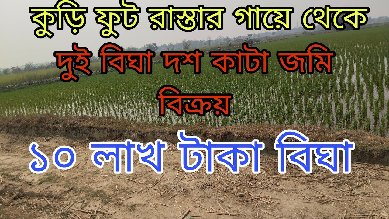 76তম ভিডিও দুই বিঘ দশ কাঠা জমি বিক্রয় আছে যোগাযোগ,9775161614