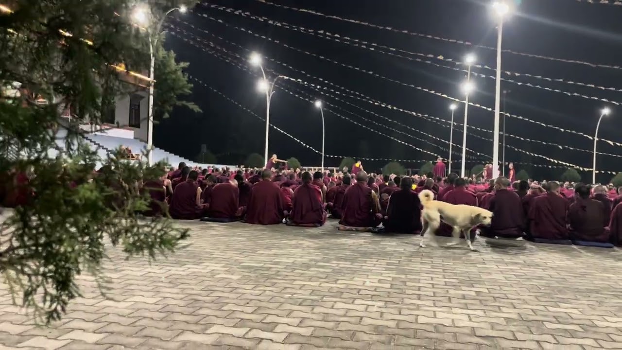 491 འཇང་དགུན་ཆོས། ལེའུ་བཞི་བ། དམ་བཅའ་སེར་སྨད། རྩོད་མཁན་ཤར་རྩེ།