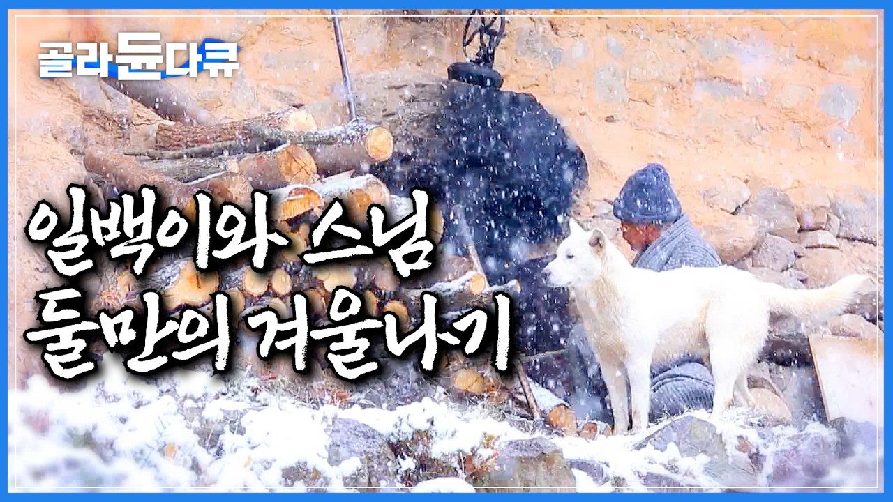 스님의 유일한 말벗, 일백이와 함께 보내는 추운 겨울나기｜3대 째 연동사를 지키는 ‘일당 백’ 견보살｜한국기행｜#골라듄다큐