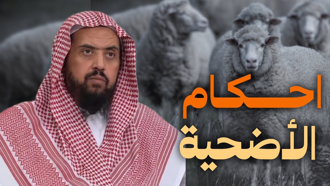 احكام الأضحية|| وليد السعيدان