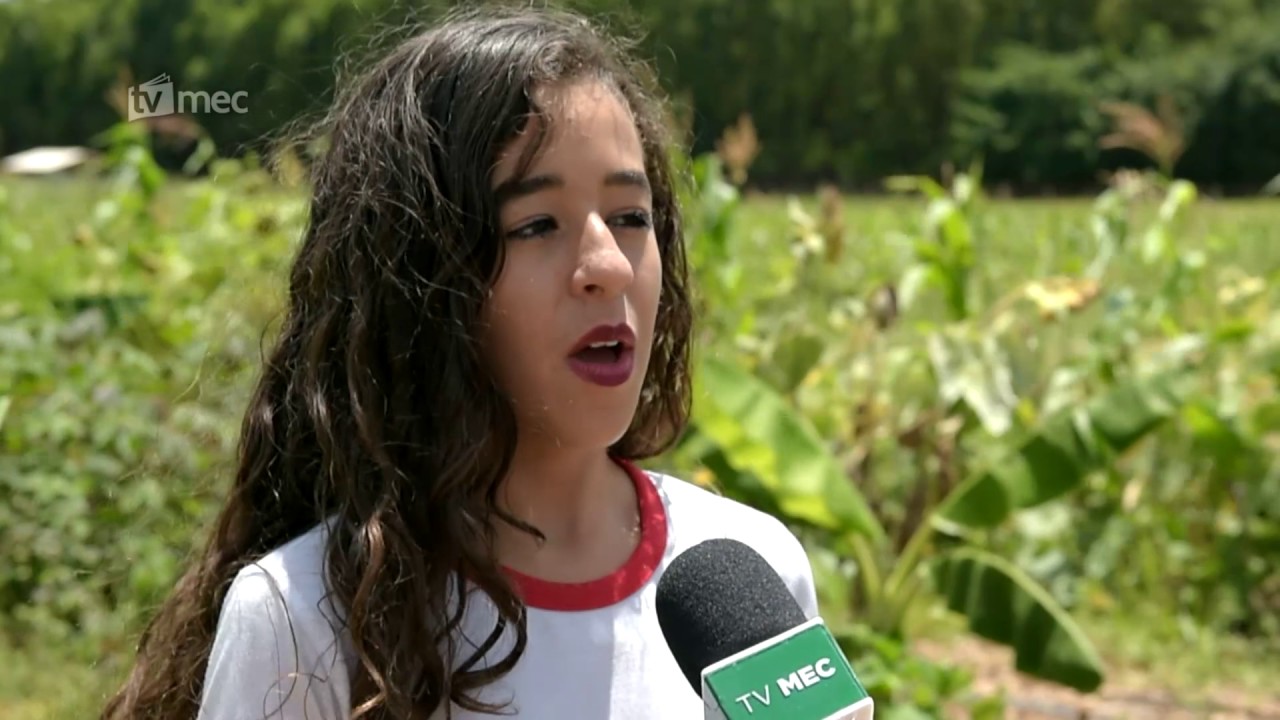 Escola do DF desenvolve projetos sustentáveis