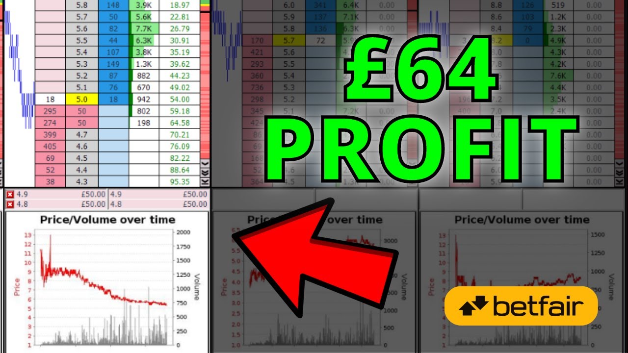 &pound;64 Profit Swing Trading a Horse Race on Betfair Trading &ndash; Caan Berry