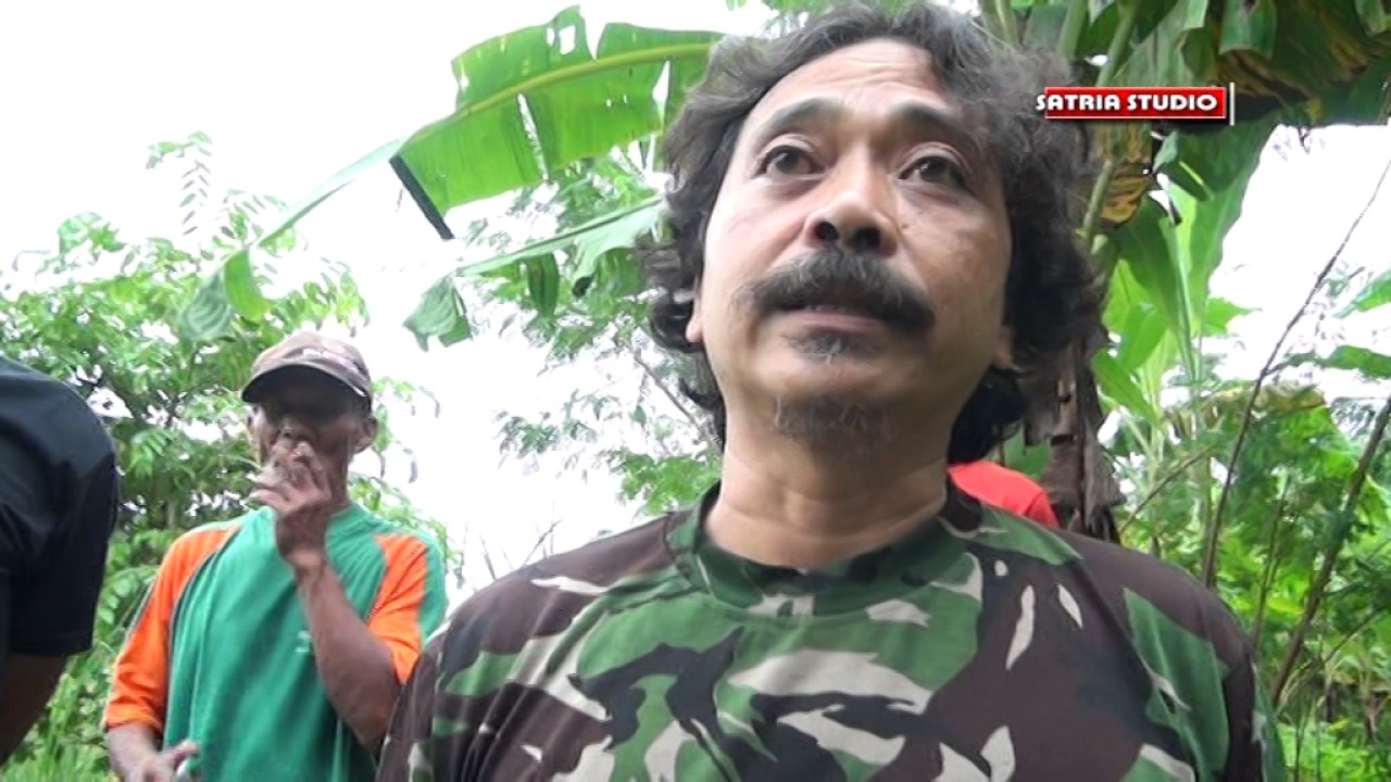 Kemunculan Buaya Dikali Cimanuk Bangodua