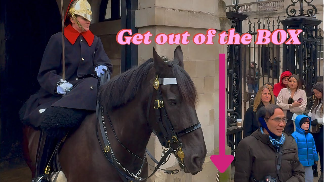Tourist vs. Kings Guard: The Hilarious Standoff You Didn’t Know You Needed! 😂👑