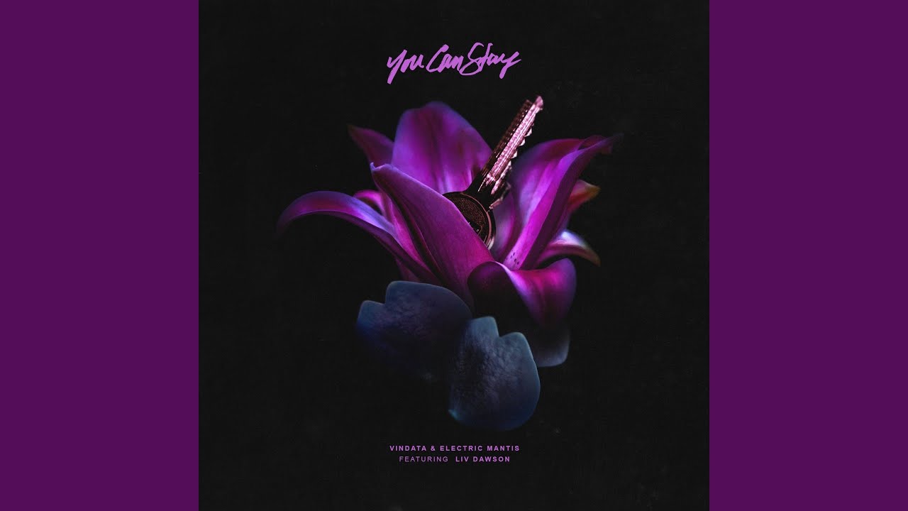 You Can Stay (feat. Liv Dawson)