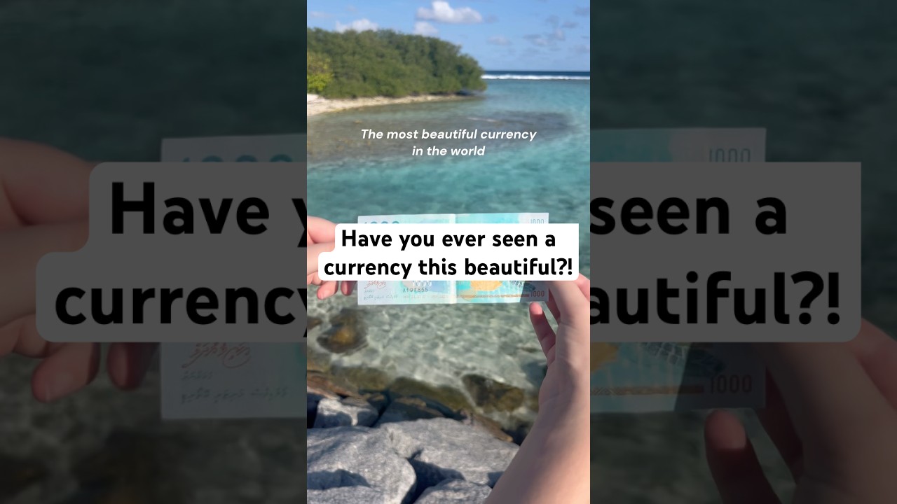 The most beautiful currency in the world #travelvloggers #maldives #maldivesbeach #travelling