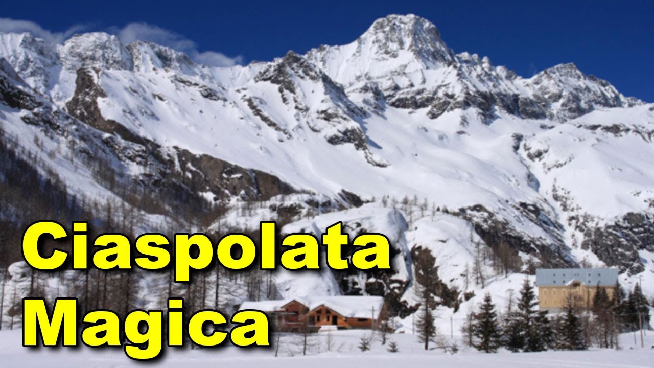 Epiciaspolata  2024