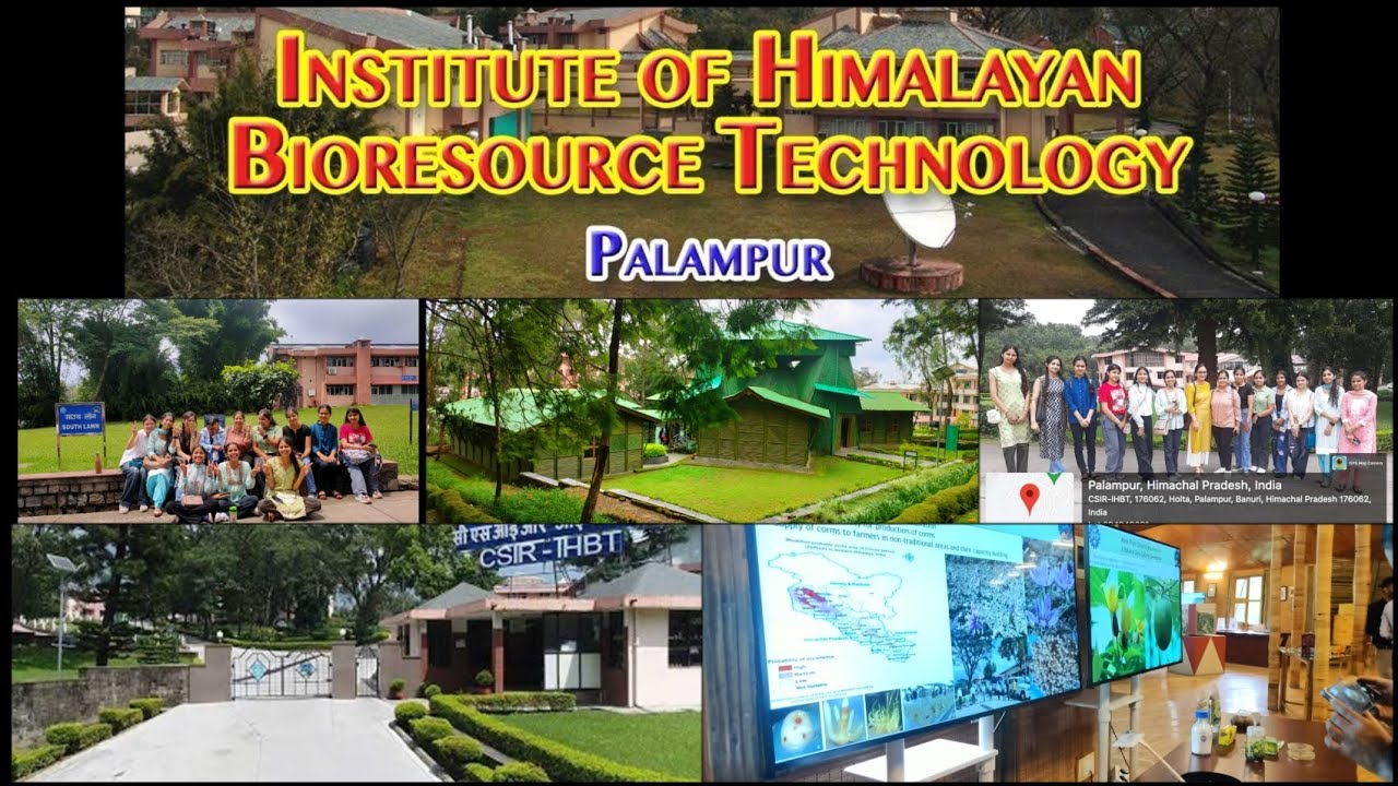 CSIR-IHBT Palampur Kangra Himachal Pradesh 🇮🇳